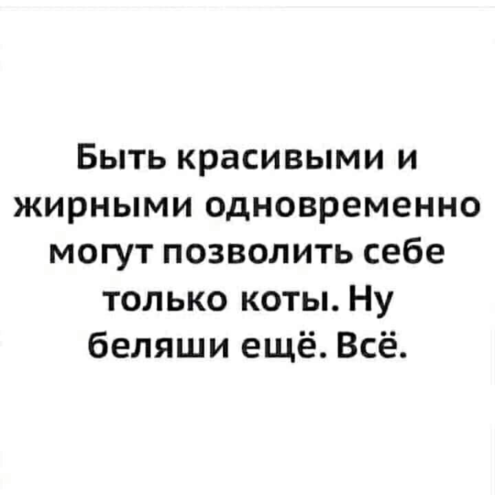 Быть красивыми и жирными одновременно могут позволить себе только коты Ну беляши ещё Всё