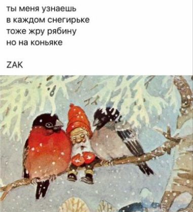 Ты меня узнаешь в каждом снегирьке тоже жру рябину но на коньяке «  1 