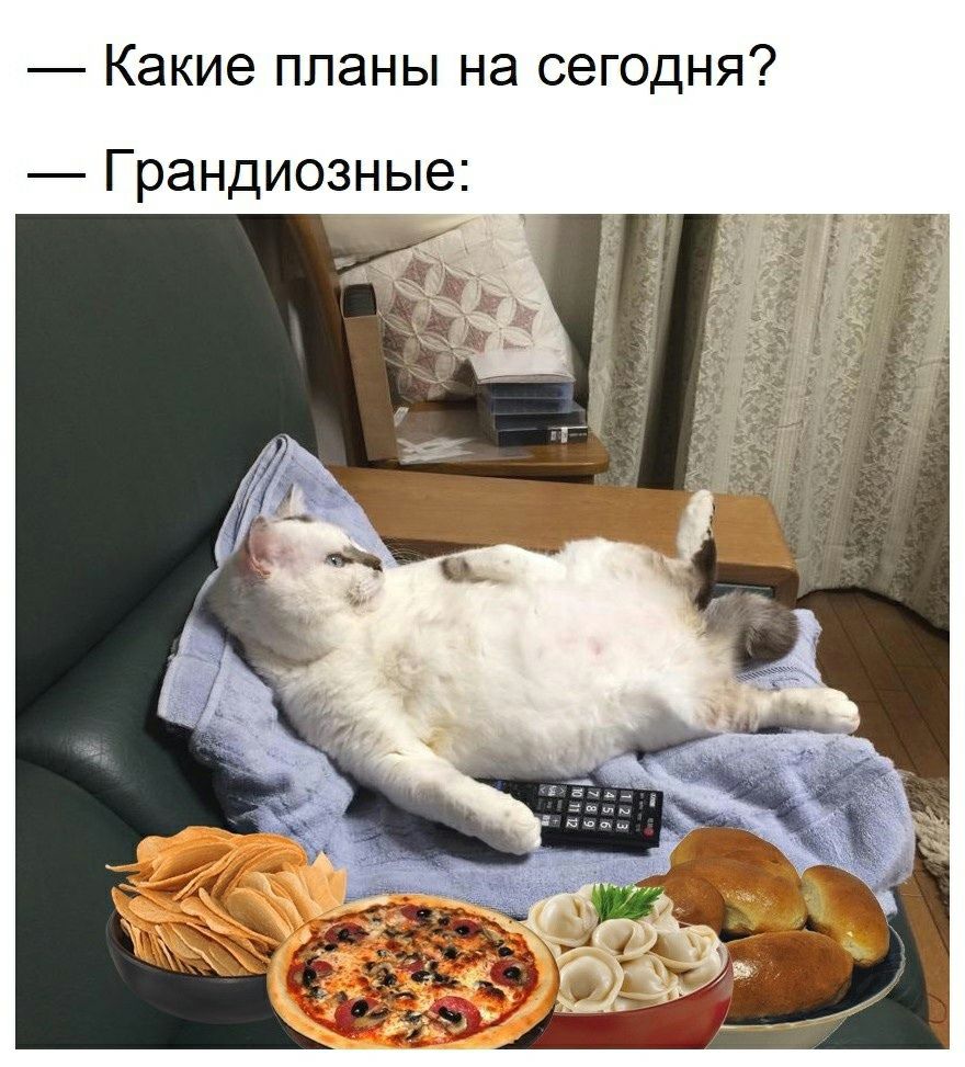 Какие планы на сегодня Грандиозные