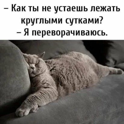 Как ты не устаешь лежать круглыми сутками Я переворачивать
