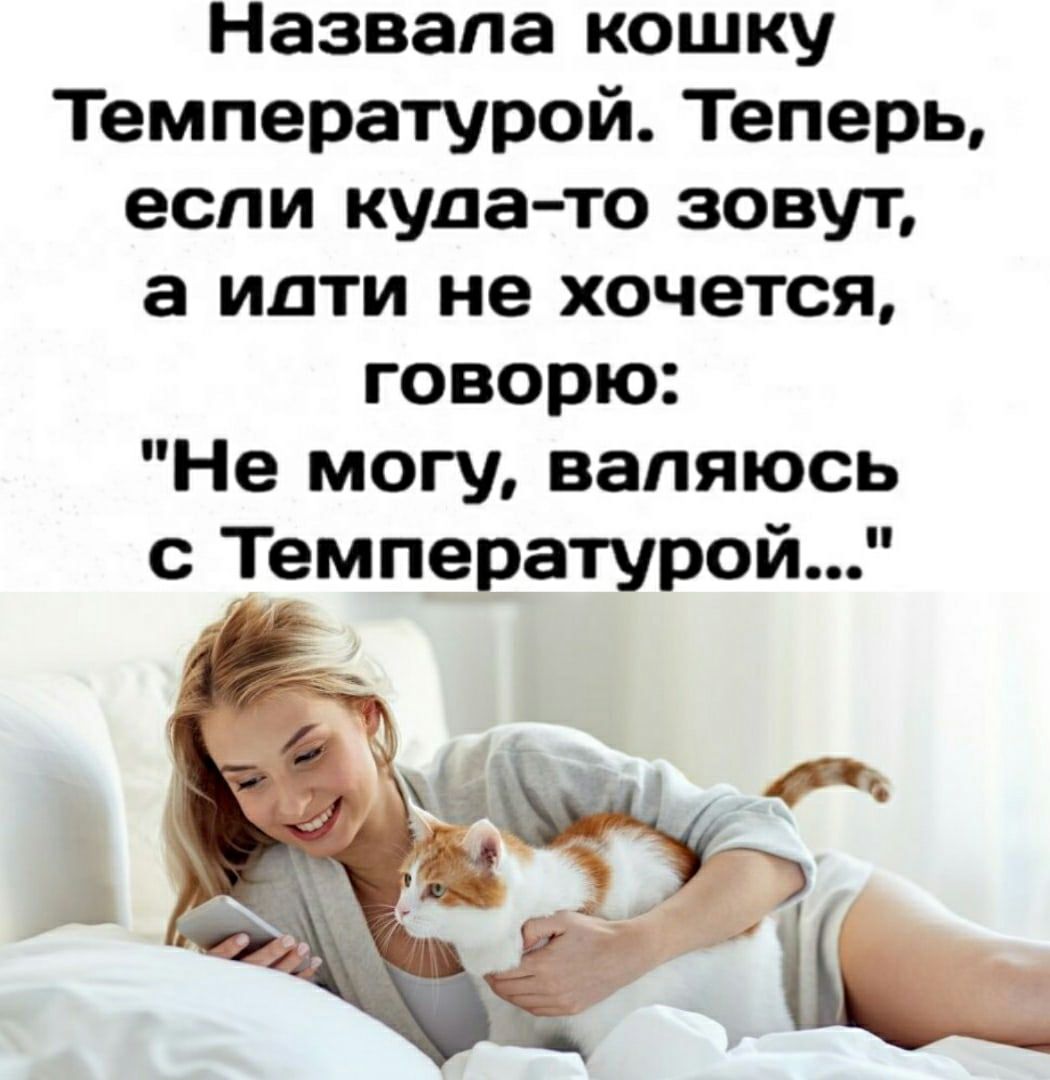Назвала кошку Температурой Теперь если куда то зовут а идти не хочется говорю Не могу валяюсь с Температурой