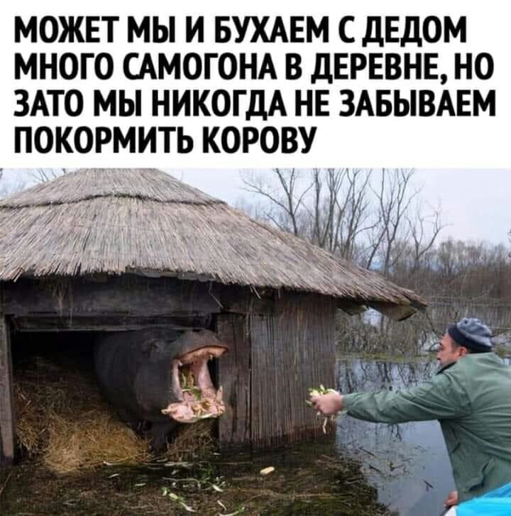 МОЖЕТ МЫ И БУХАЕМ С дЕдОМ МНОГО САМОГОНА В дЕРЕВНЕ НО ЗАТО МЫ НИКОГДА НЕ ЗАБЫВАЕМ ПОКОРМИТЬ КОРОВУ