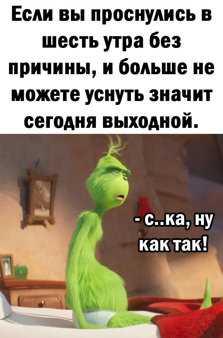 ЕеАи вы проснулись в шесть утра без причины и больше не можете уснуть значит сегодня выходной ска ну кактак