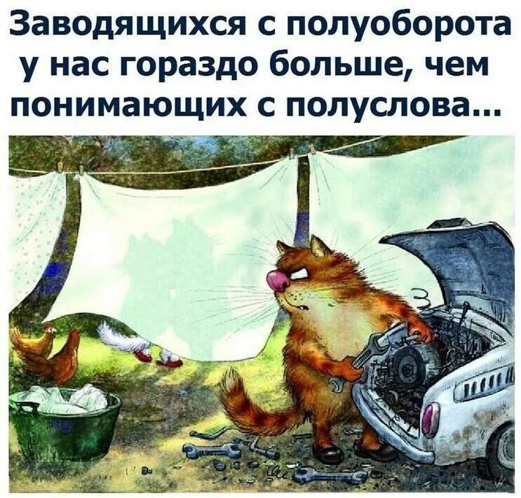 Заводящихся с полуоборота у нас гораздо больше чем ПОНИМЗЮЩИХ С полуслова