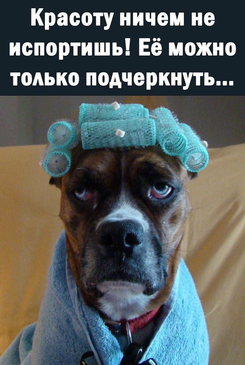 Красоту ничем не испортишь Её можно только подчеркнуть