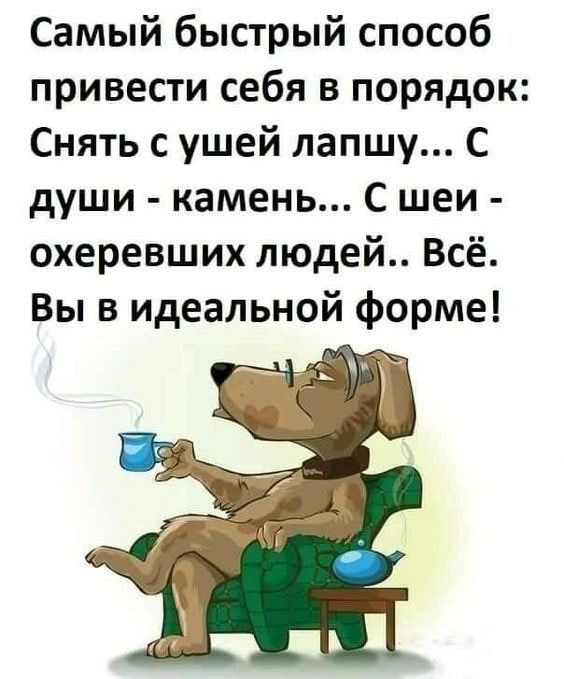 Самый быстрый способ привести себя в порядок Снять с ушей лапшу С души камень С шеи охеревших людей Всё Вы в идеальной форме