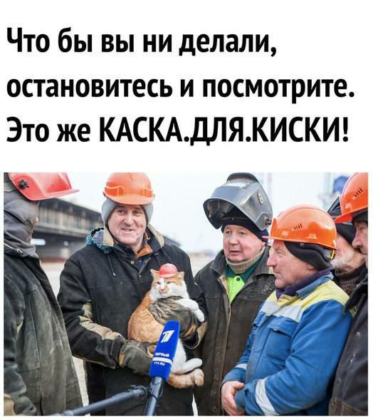 ЧТО бЫ ВЫ НИ делали ОСТЗНОВИТеСЬ И ПОСМОТРИТЕ Это же КАСКАдЛЯКИСКИ