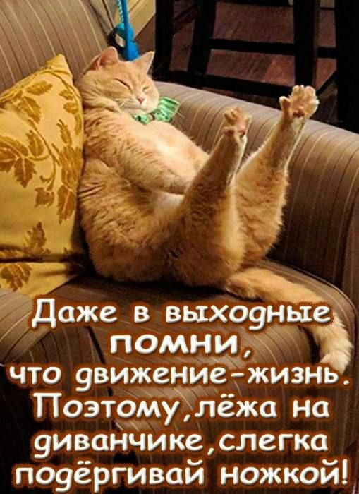 йДаже в выхоуные помни что 9вижение_ жизнь Поэтому лёжа на 9иванчике слегка поуёргивой ножкойіі