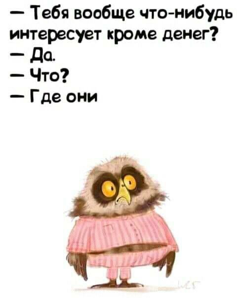 Тебя вообще чтонибудь интересует кроме денег _ дд Что Где они