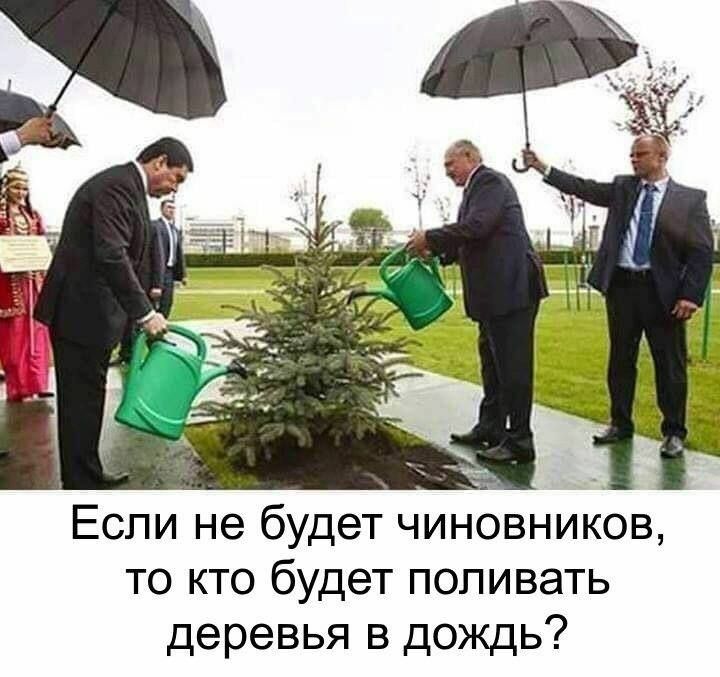 Если не будет чиновников то кто будет попивать деревья в дождь