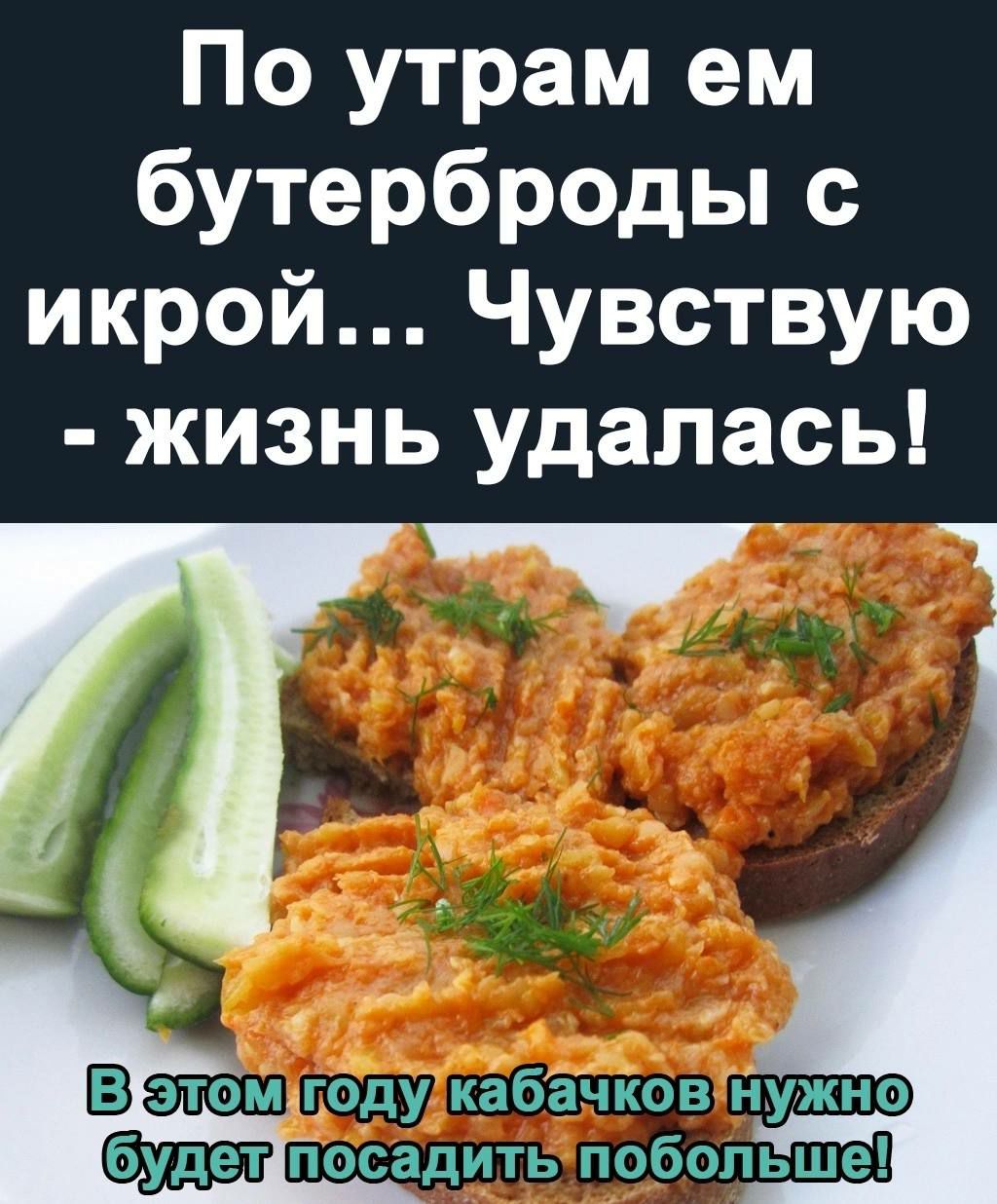 По утрам ем бутерброды с икрой Чувствую жизнь удалась1 этом году кабачков нужно посадить побольше