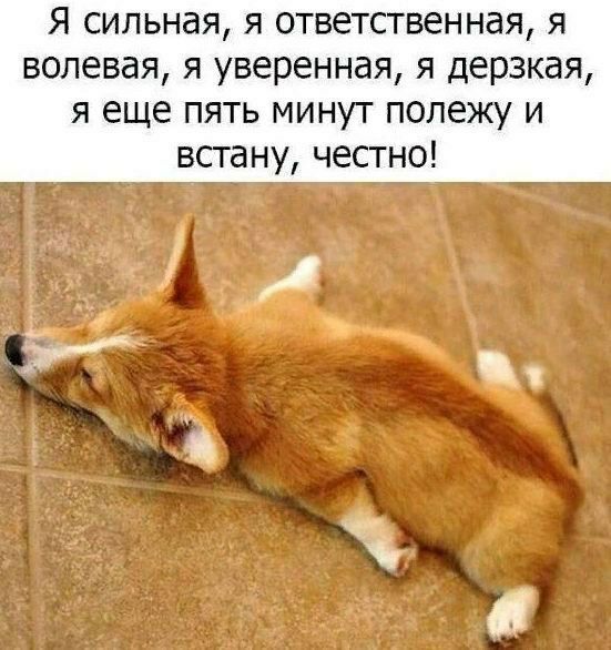 Я сильная я ответственная я волевая я уверенная я дерзкая я еще пять минут полежу и встану честно