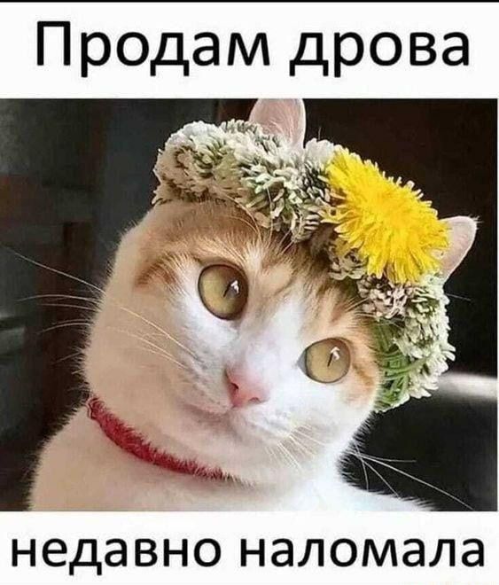 Продам дрова недавно НЭЛОМЭЛЭ
