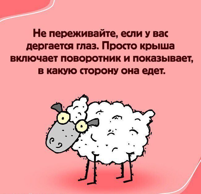 Не переживайте если у вас дергается глаз Просто крыша включает поворотник И показывает в какую сторону она едет