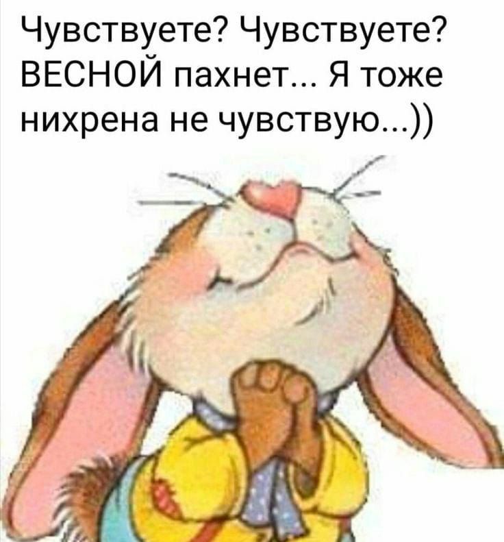 Чувствуете Чувствуете ВЕСНОЙ пахнет Я тоже нихрена не чувствую _ сг 29