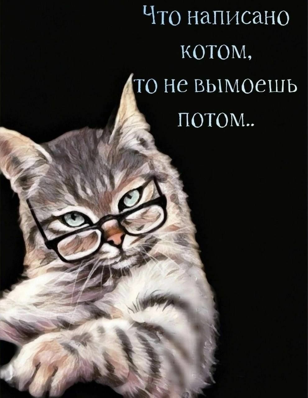 Что написано КОТОМ