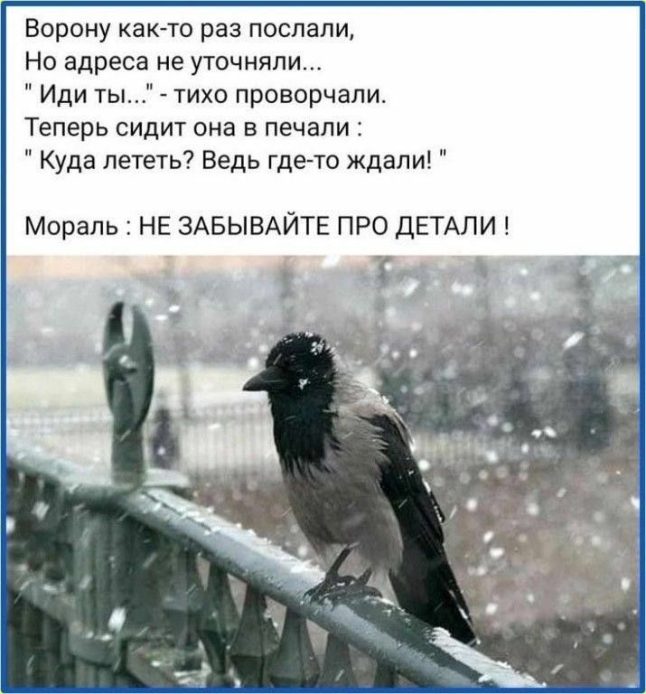 Ворону как то раз послали Но адреса не уточнили Иди ты тихо проворчапи Теперь сидит она в печали Куда лететь Ведь где то ждали Мораль НЕ ЗАБЫВАЙТЕ ПРО ДЕТАЛИ А