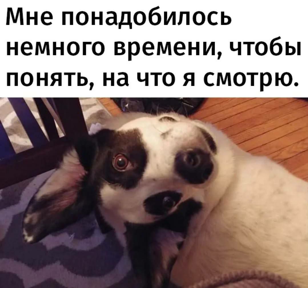 Мне понадобилось немного времени, чтобы понять, на что я смотрю.