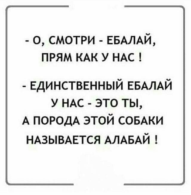 - О, смотри - ебала, прям как у нас !
- Единственный ебала у нас - это ты, а порода этой собаки называется алабай !