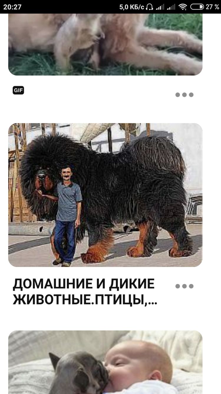 50 киас 2 27 С 995 ДОМАШНИЕ И ДИКИЕ азс ЖИВОТНЫЕПТИЦЬ