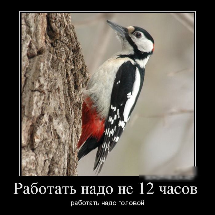 Работать надо не 12 часов работать надо головой