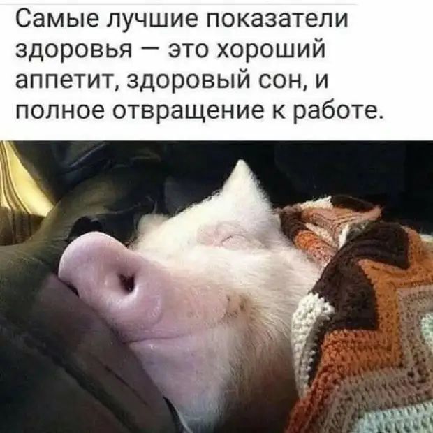 Самые лучшие показатели здоровья это хороший аппетит здоровый сон и полное отвращение к работе