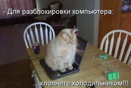 ьТ ШДЯ разб окировки компь ера