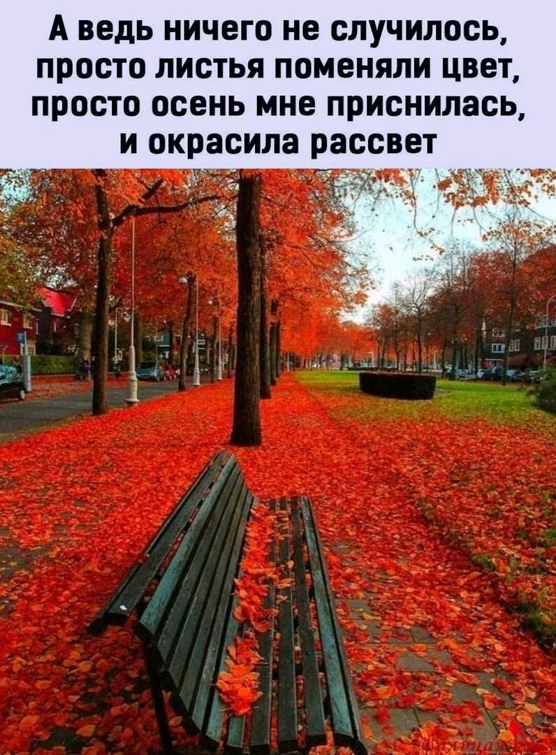 А ВЕДЬ НИЧЕГО не СЛУЧИЛООЬ ПРОСТО ЛИОТЬЯ ПОМВНЯЛИ ЦВЕТ просто осень МНО приснилась И ОКРЗОИЛЗ РЗОСВЕТ