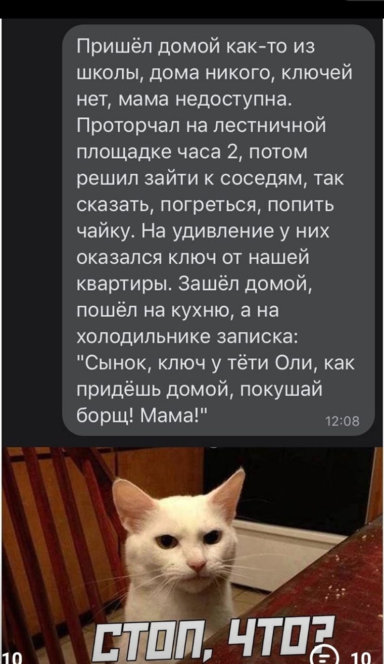 10 Пришёл домой как то из школы дома никого ключей нет мама недоступна Проторчал на лестничной площадке часа 2 потом решил зайти к соседям так сказать погреться попить чайку На удивление у них оказался ключ от нашей квартиры Зашёл домой пошёл на кухню а на холодильнике записка Сынок ключ у тёти Оли как придёшь домой покушай борщ Мама 1208