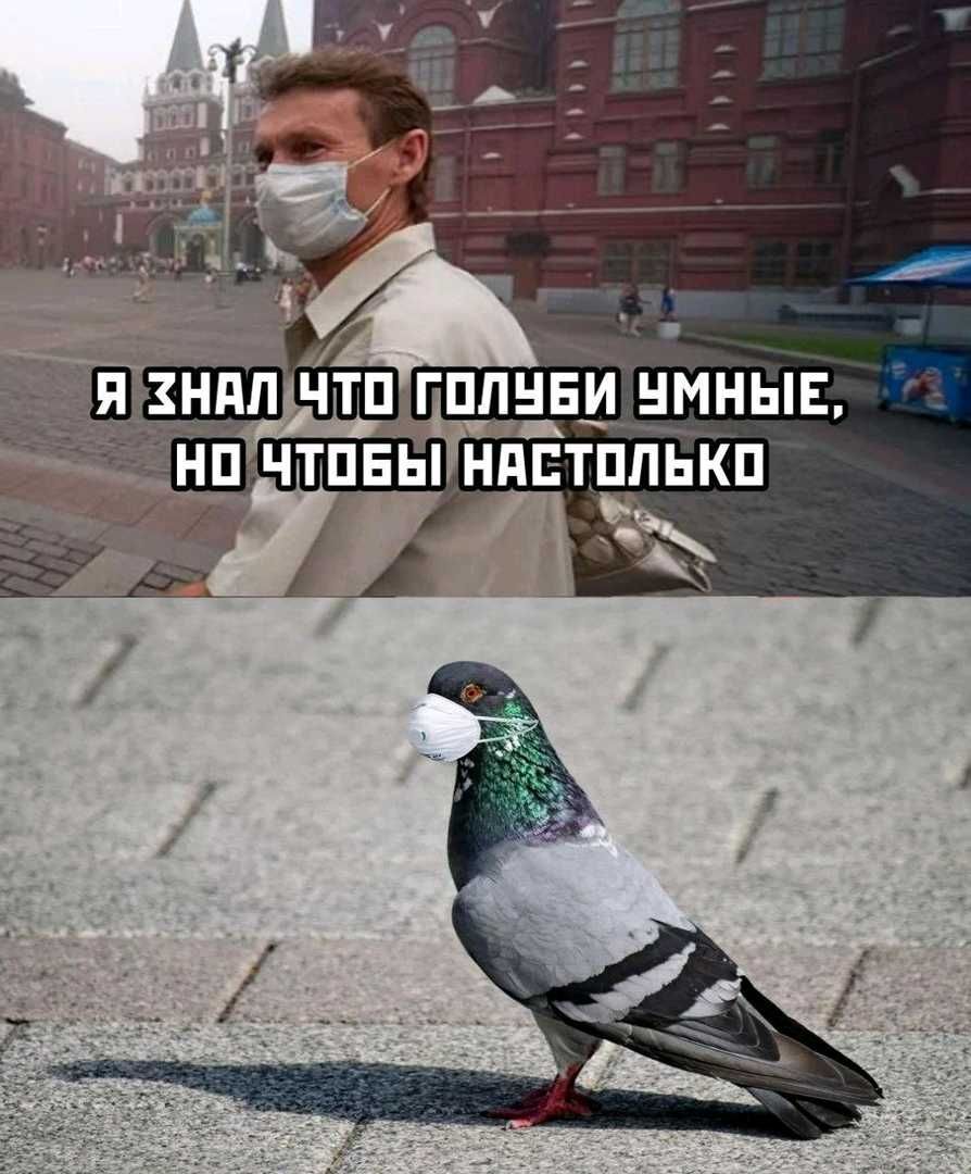 Щ ннлітпгппёцдмныв ппЕКп