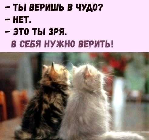 ТЫ ВЕРИШЬ В ЧУДО НЕТ ЭТО ТЫ ЗРЯ В СЕБЯ НУЖНО ВЕРИТЬ