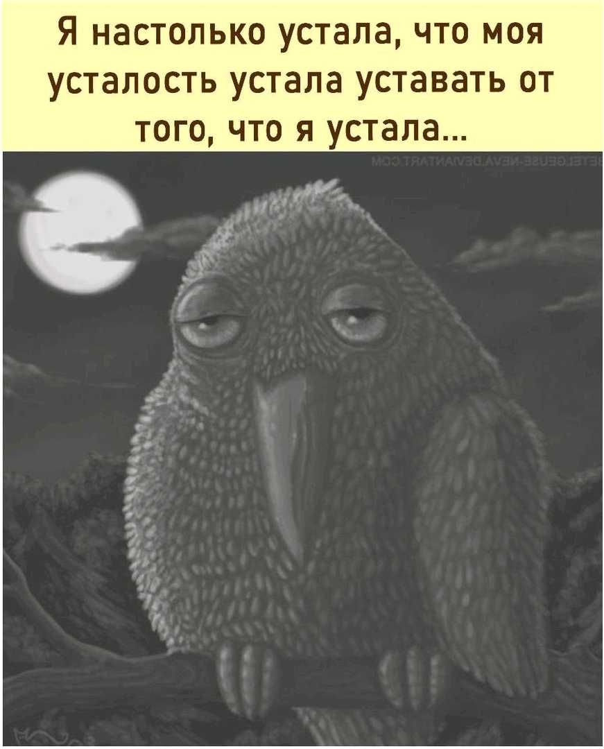 Я настолько устала что моя усталость устала уставать от того что я устала