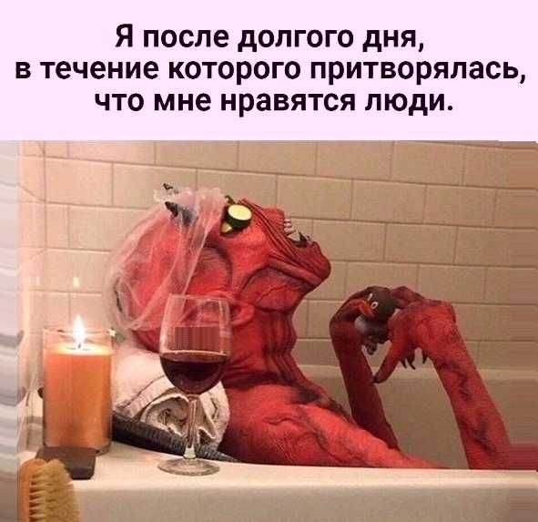Я после долгого дня в течение которого притворялась что мне нравятся люди