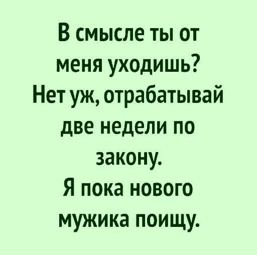 В смысле ты от меня уходишь Нет уж отрабатывай две недели по закону Я пока нового мужика поищу