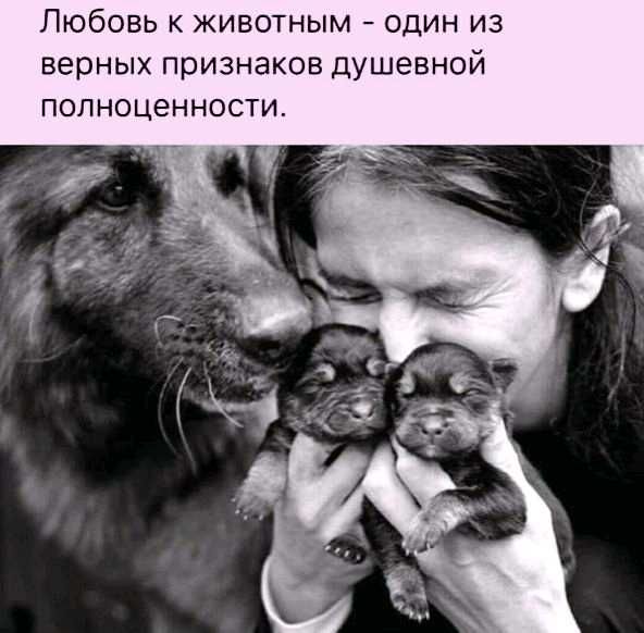 Любовь к животным один из верных признаков душевной полноценности