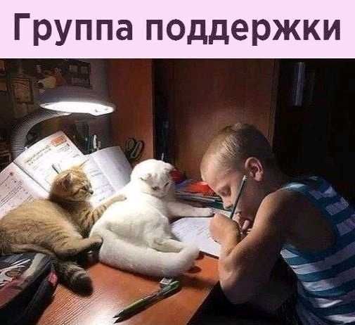 Группа поддержки