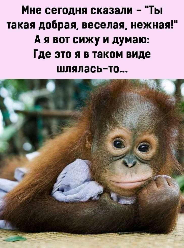 Мне сегодня сказали Ты такая добрая веселая нежная А я вот сижу и думаю Где это я в таком виде шлялась то