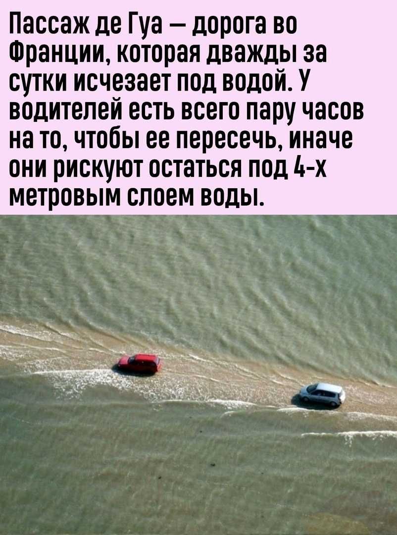 Пассаж де Гуа дорога во Франции которая дважды за сутки исчезает под водой У водителей есть всего пару часов на то чтобы ее пересечь иначе они рискуют остаться под ь х метровым слоем воды
