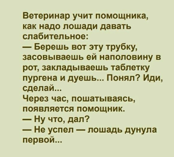 Ветеринар учит помощника как надо лошади давать слабительное Берешь вот эту трубку засовываешь ей наполовину в рот закладываешь таблетку пургена и дуешь Понял Иди сделай Через час пошатываясь появляется помощник Ну что дал Не успел лошадь дунула первои