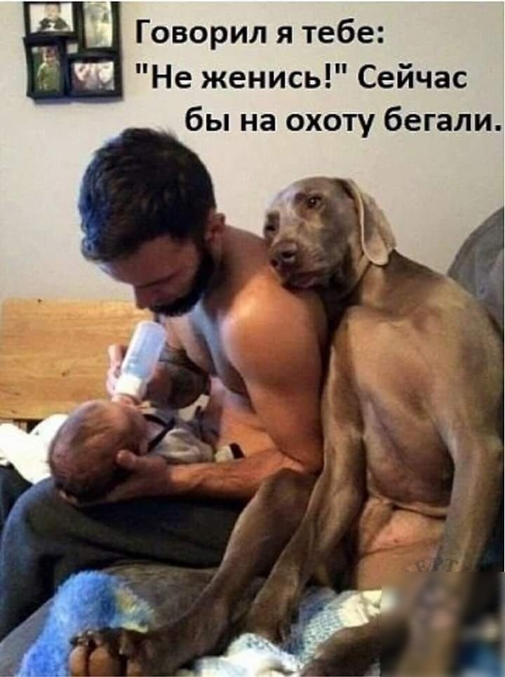 Говорил я тебе Не женись Сейчас бы на охоту бегали