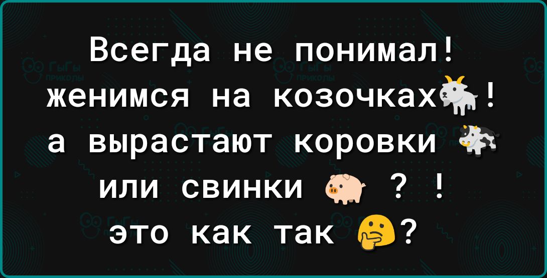 Всегда не понимал женимся на козочках а вырастают коровки или свинки это как так