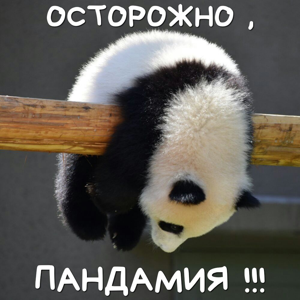 осторожно АНдАмия