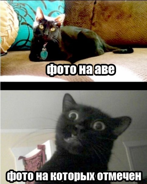 на КЩППЬШ отмечен