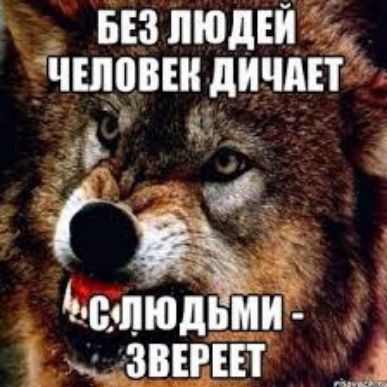 БЕЗ ЛЮДЕЙ ЧШОВШ дИЧАЕТ Ж ідВпюдЬМИ а ЗВЕРЕП