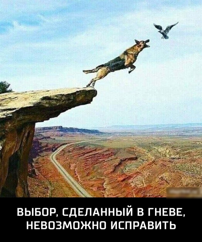 ВЫБОР СДЕЛАННЫЙ В ГНЕВЕ НЕВОЗМОЖНО ИСПРАВИТЬ