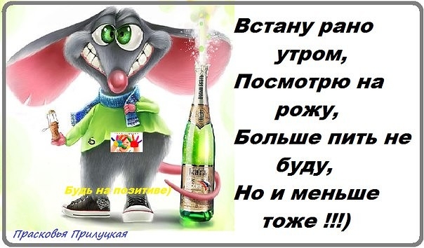 _ Встану рано утром Посмотрю на рожу Больше пить не буди На и меньше тоже расадм Притушат