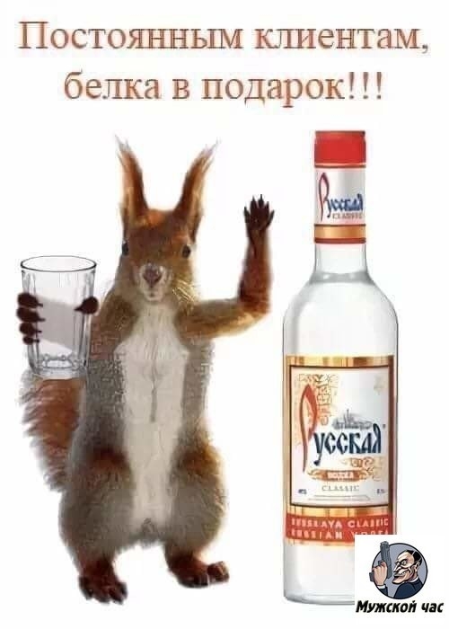 Постоянным ющентам белка В подарок