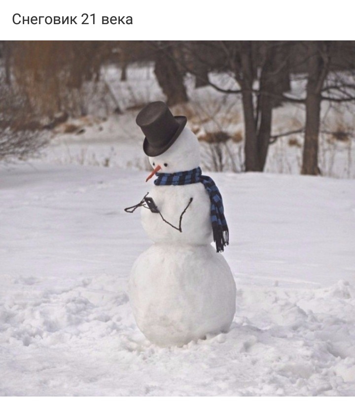 Снеговик 21 века