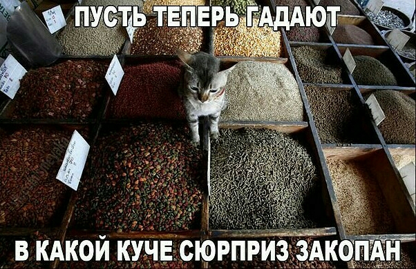 в кдкой кУчЕДсюЬпри Ак