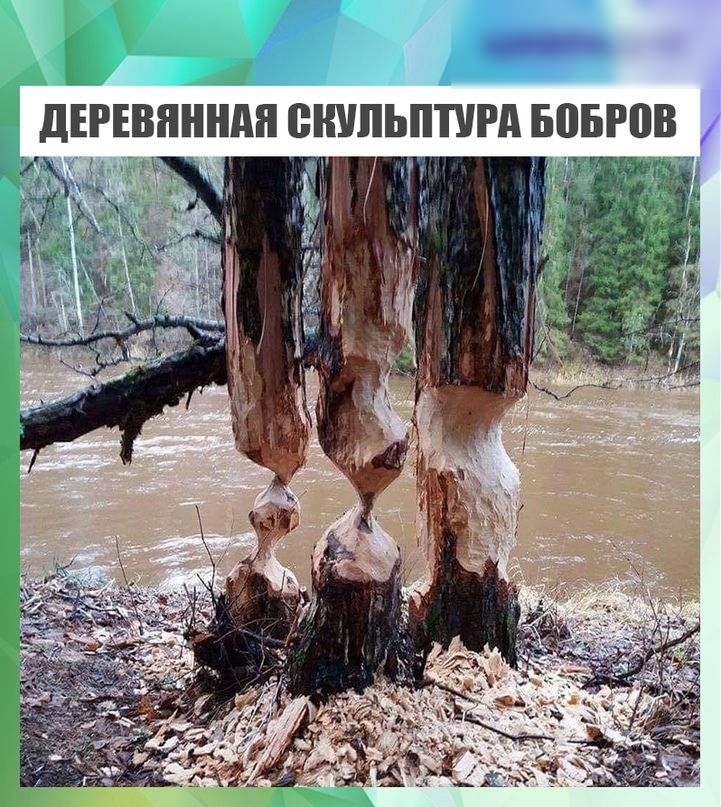 дЕРЕВПННдЯ СКУЛЬПТУРА БоБРПВ т